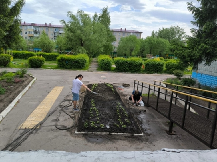 Цветущее лето.